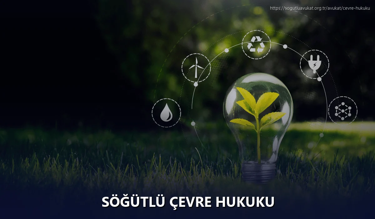 Söğütlü Çevre Hukuku